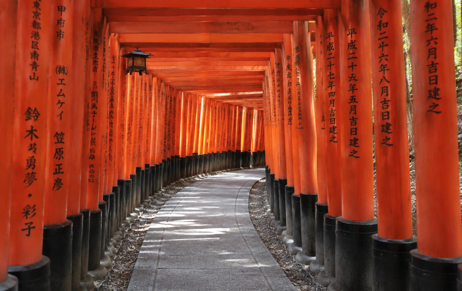 Japan Golden Route: Tokyo, Kyoto & Osaka photo 3